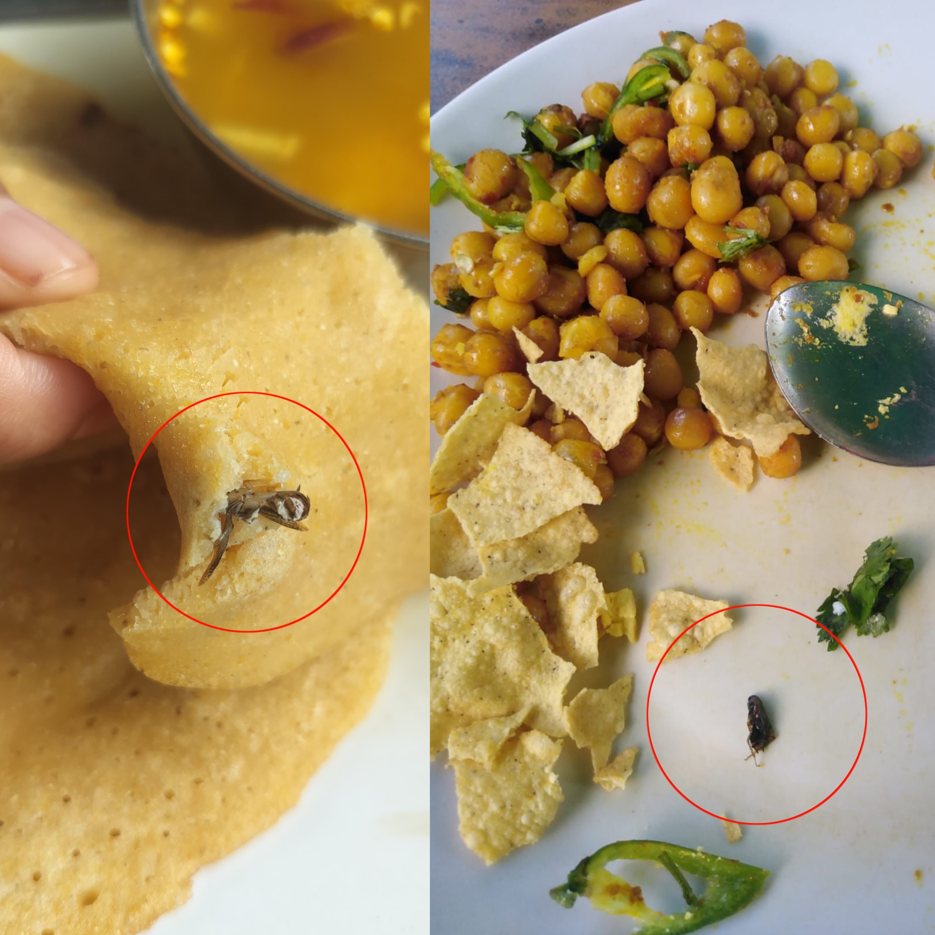 सिंहदरबार चमेना गृह नेपाल तेलिभिजन 