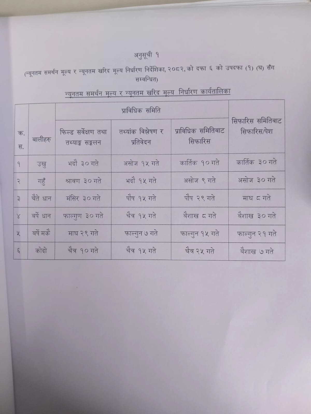 अब बाली लगाउनुअघि नै सरकारले न्यूनतम समर्थन मूल्य तोक्ने व्यवस्था लागू